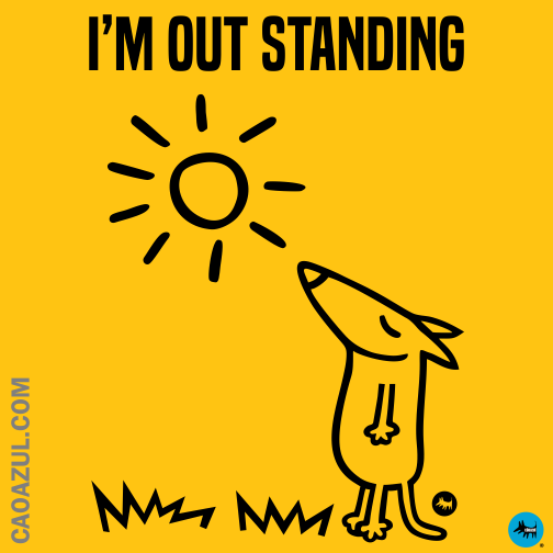 I'M OUT STANDING